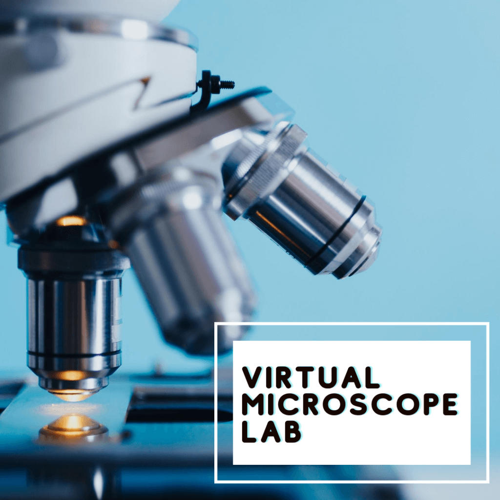 20-virtual-labs-activities-for-forensic-science-the-trendy-science