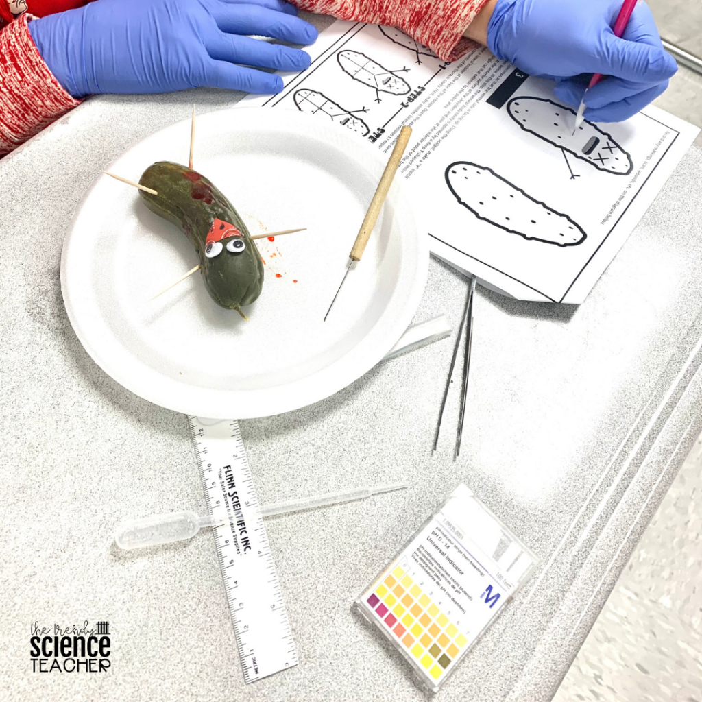 Engage Your Forensics Students with the Pickle Autopsy