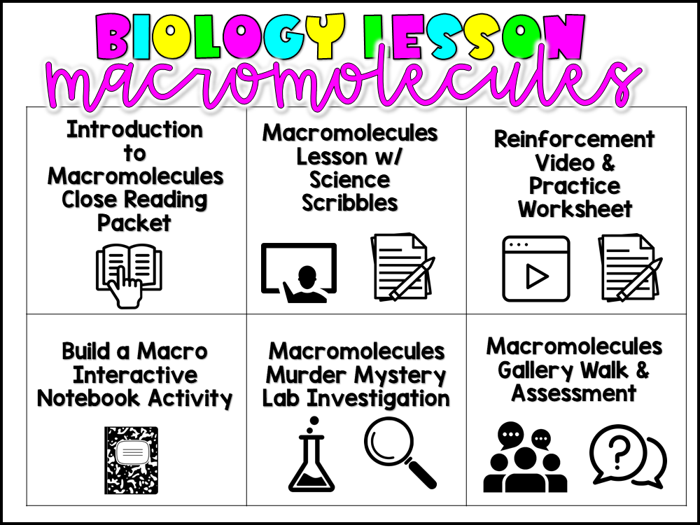 Macromolecule Matching Worksheet Answers The Trendy Science Teacher