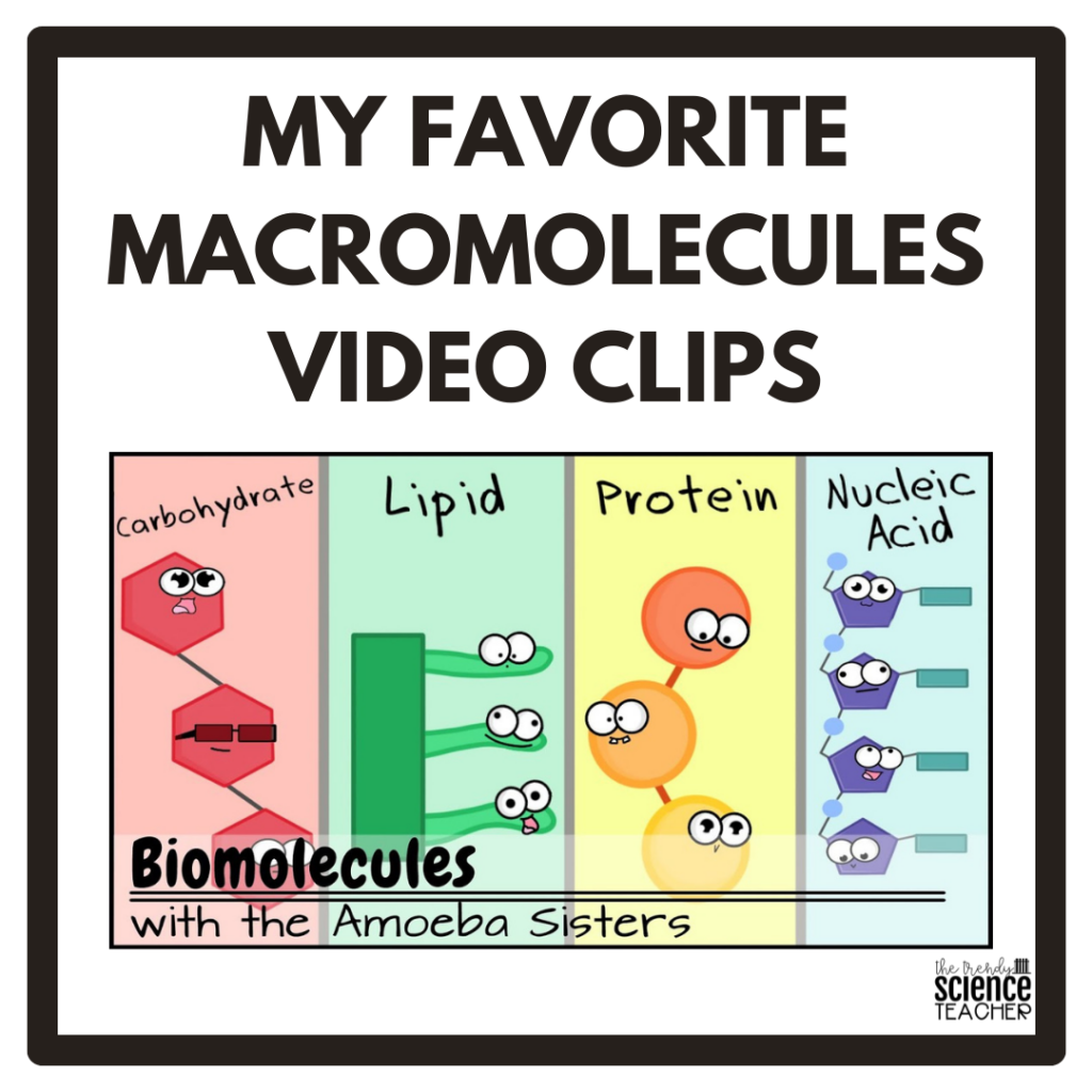 macromolecules video clips