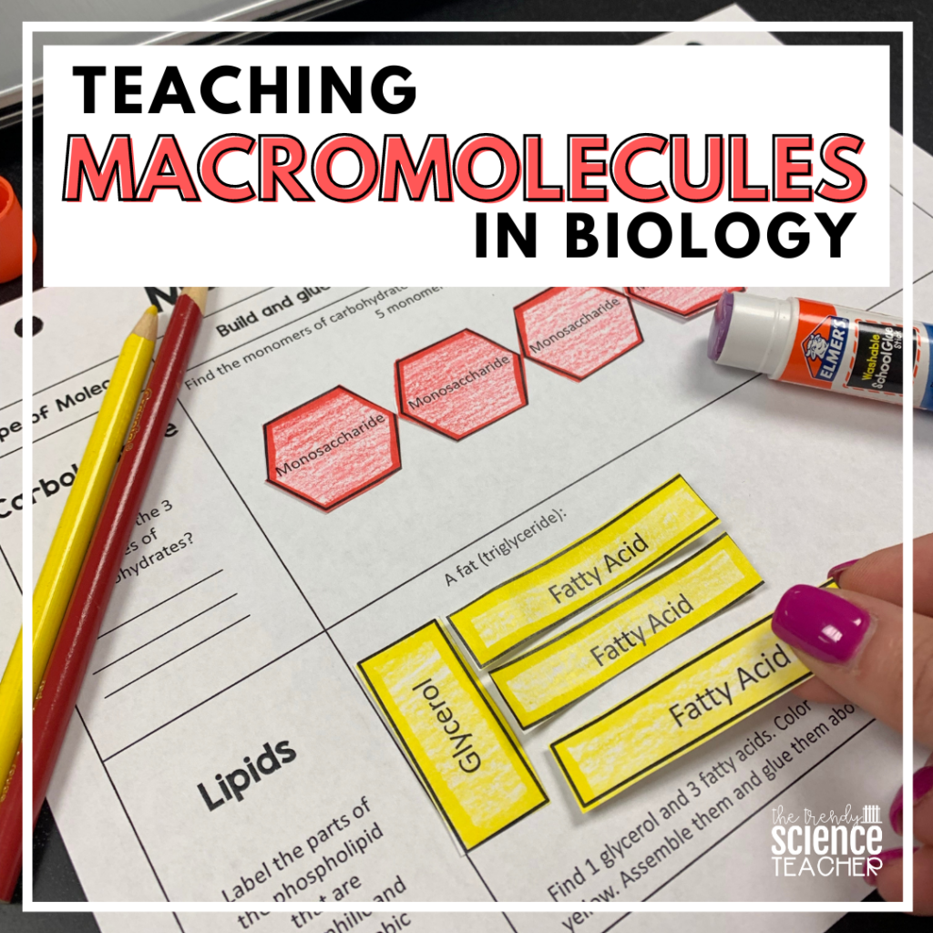 macromolecules close reading assignment answer key quizlet