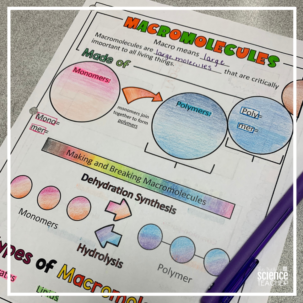 macromolecules close reading assignment answer key pdf