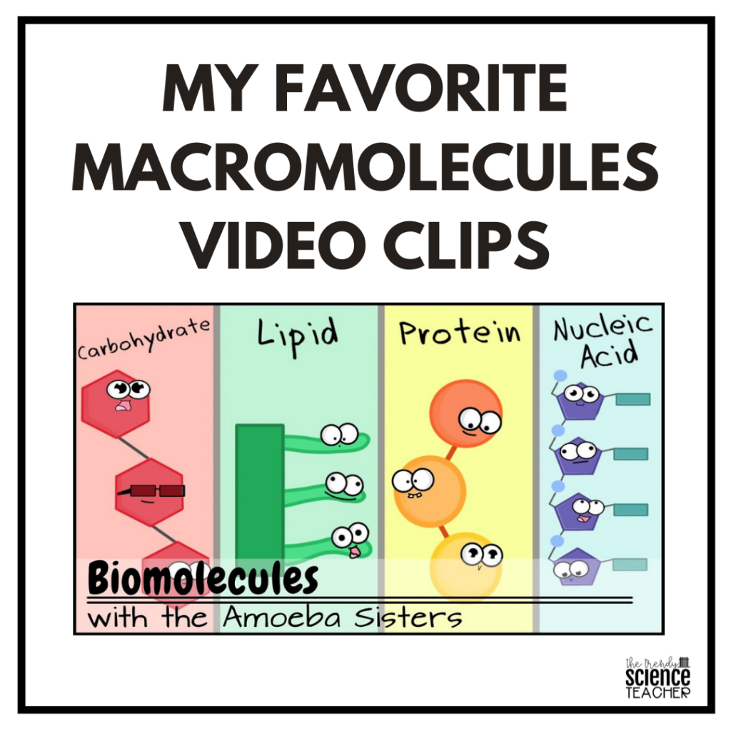 four macromolecules