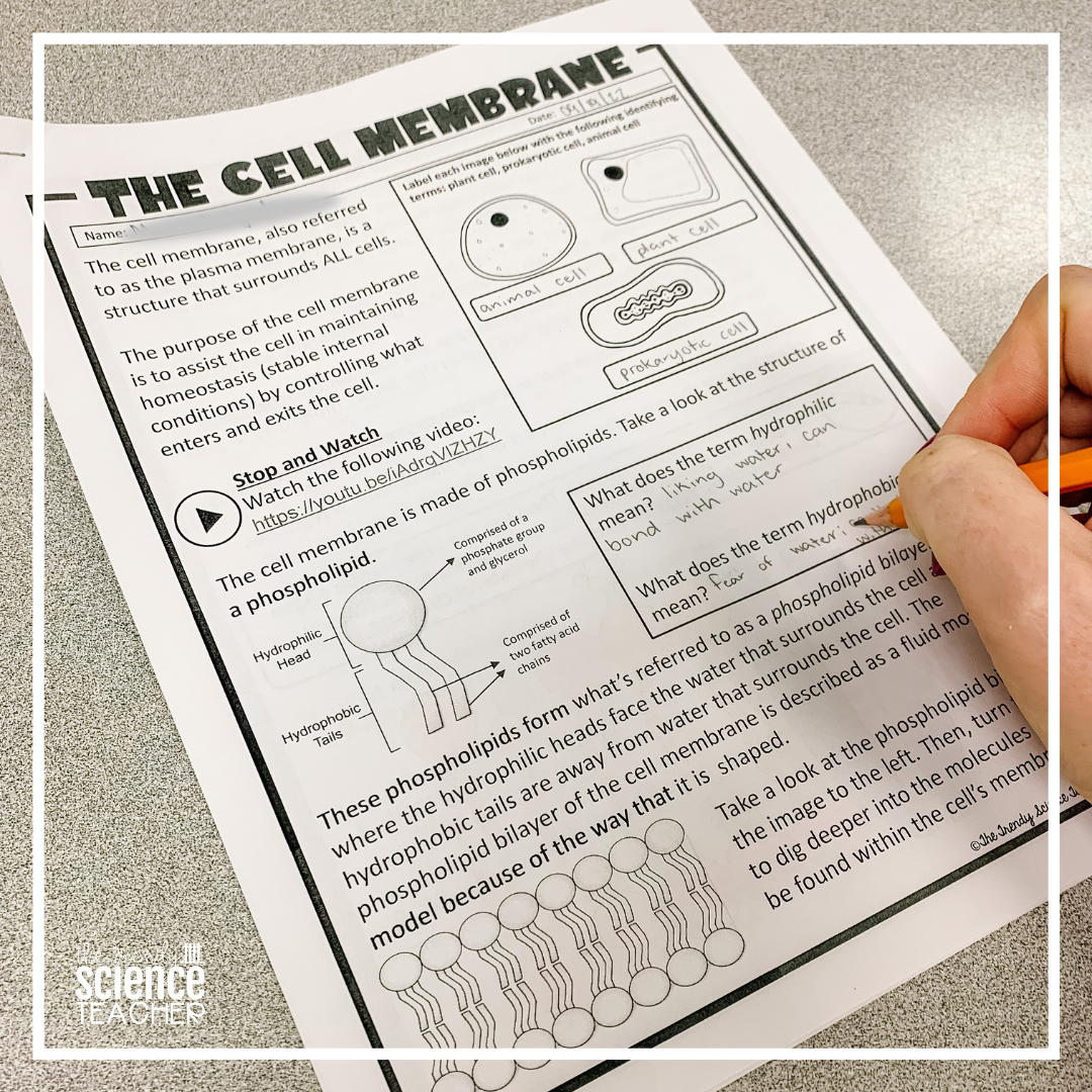 cell membrane close reading assignment answer key