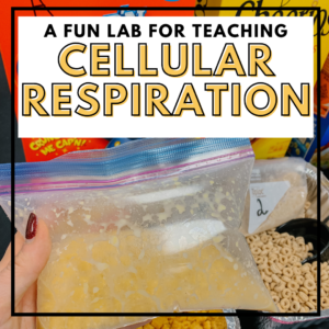 a fun lab for teaching cellular respiration