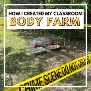 How I Created My Classroom Body Farm