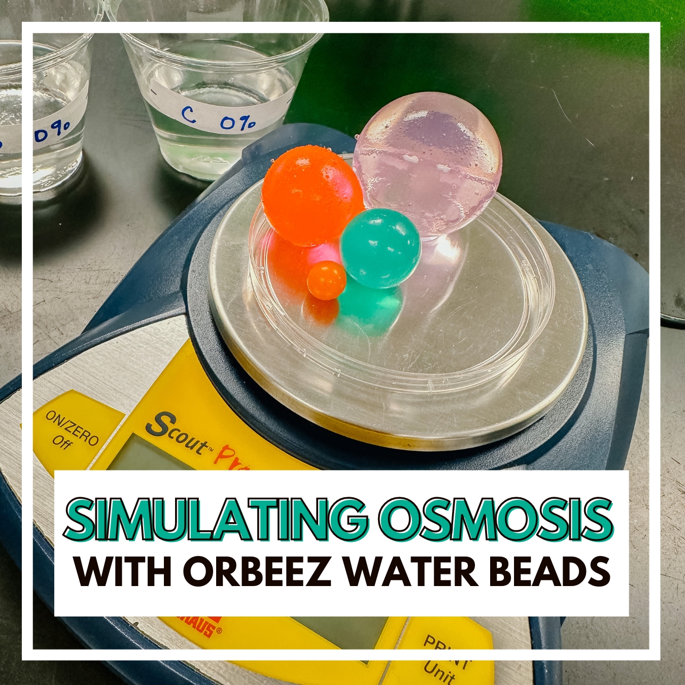 Orbeez and best sale water beads