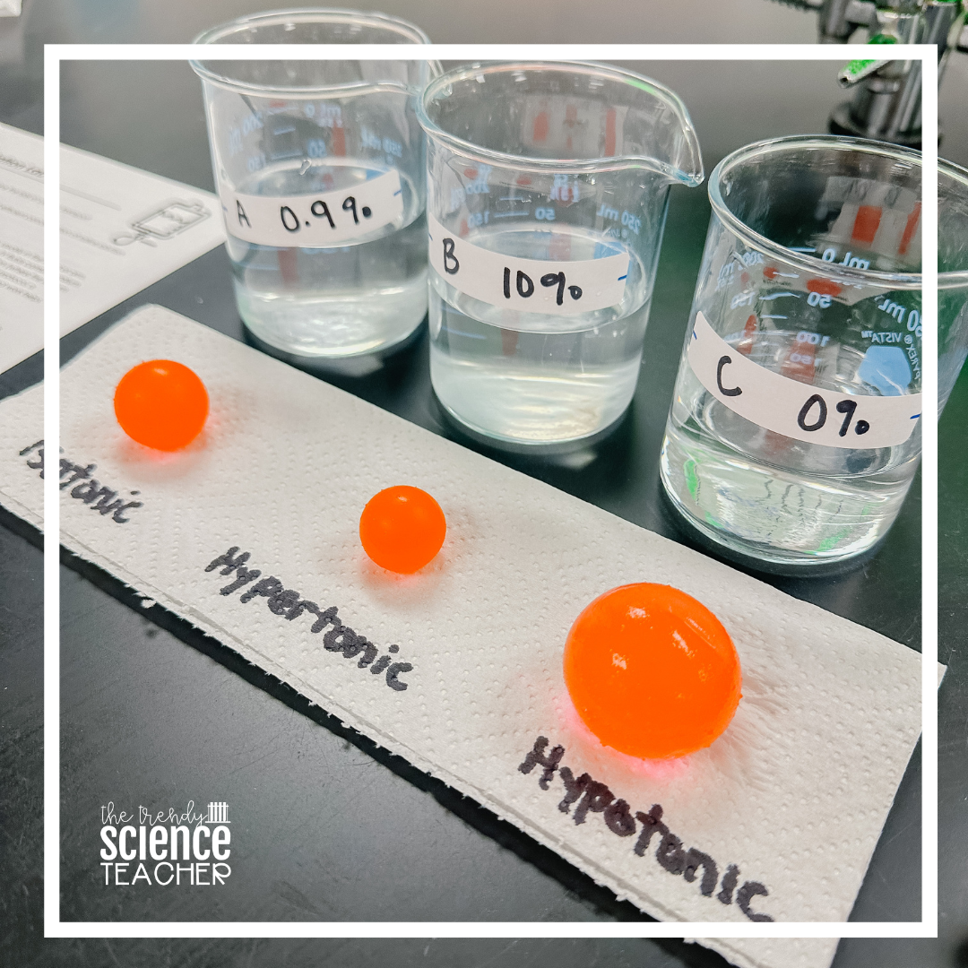 Chemical solutions and dissolving teaching resources - the science teacher