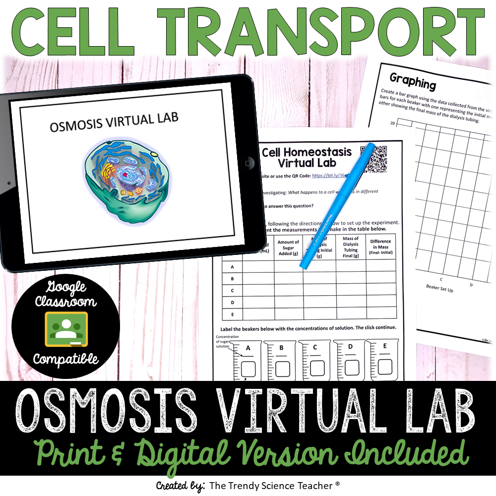 Cell Transport Lab