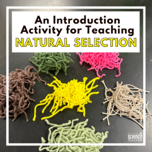 An Introduction Activity for Teaching Natural Selection