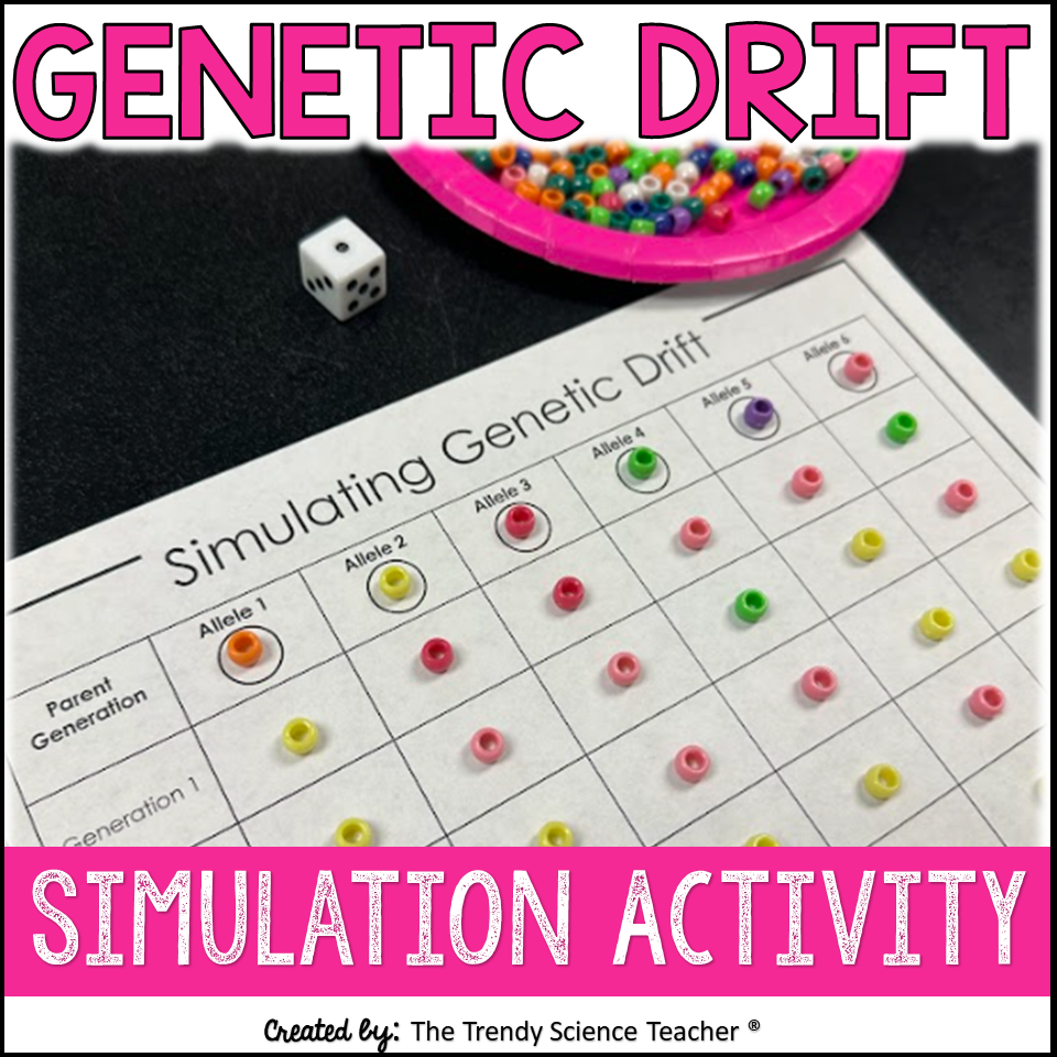 Genetic Drift Simulation Activity ⋆ The Trendy Science Teacher